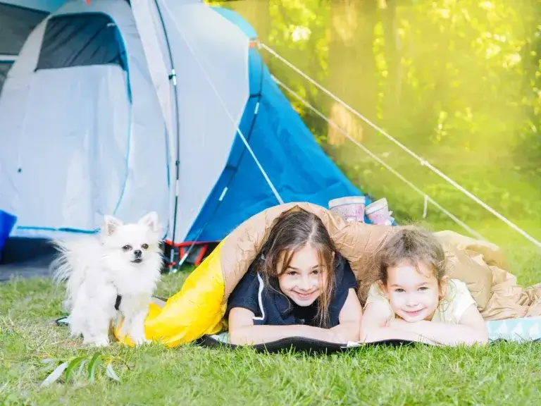 Camp in the tent - girls with little dog chihuahua sitting together near the tent.