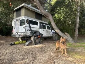 German Shepherd dog standing in front of a Jeep with a popup camper. Camping with dogs.