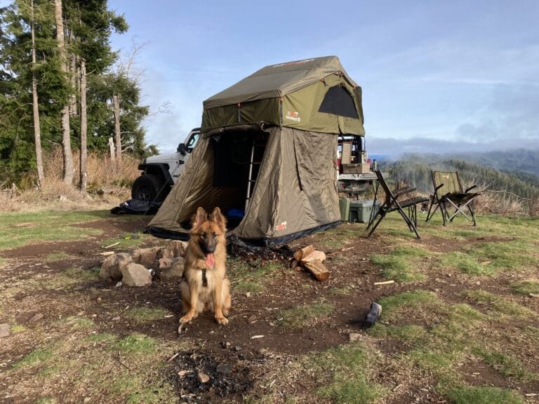 Rooftop tent setup while camping in bear country. There is a German Shepherd dog sitting in front of the tent.