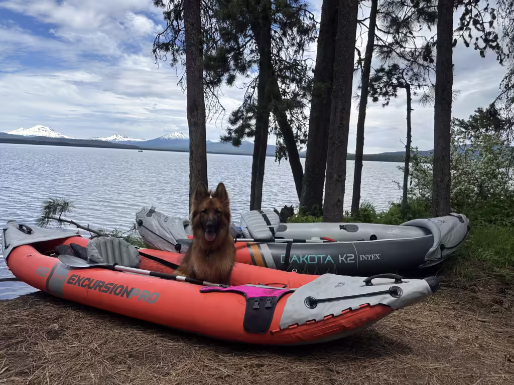 Two inflatable kayaks on the shore with a dog sitting in one of them.