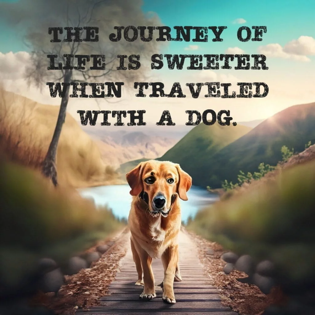 The journey of live is sweeter when traveled with a dog.