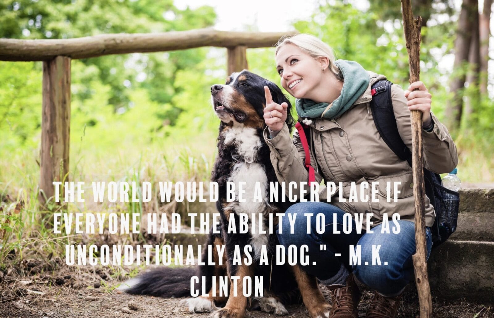 Unleash Adventure and Love 19 Dog Camping Quotes Wanderland Xperience