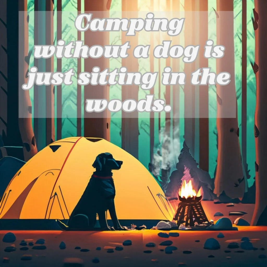 Camping without a dog is just sitting in the woods.