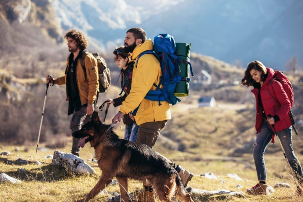 Group of hikers walking on a mountain at autumn day with a German Shepherd.