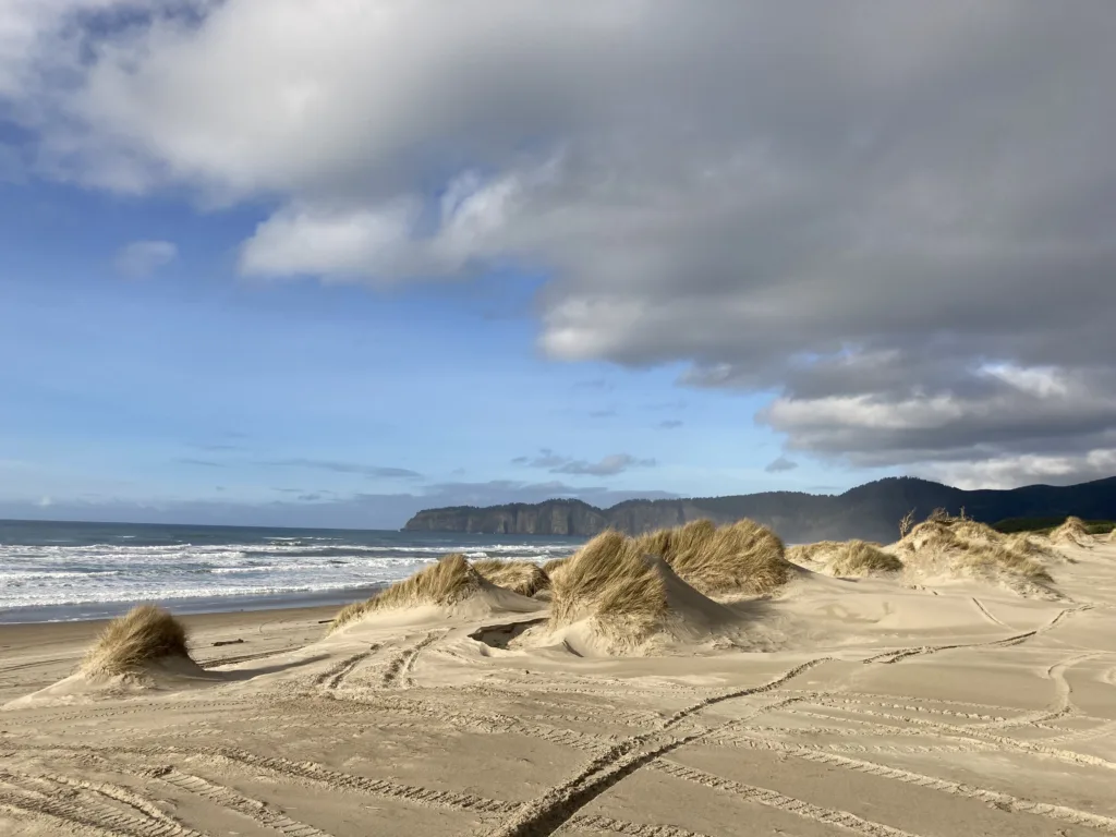 Oregon coast sand dunes.