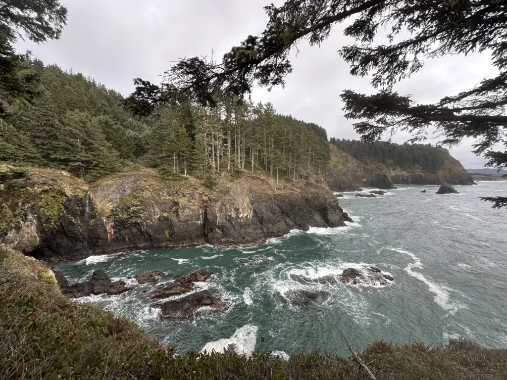 Cliffs and trees along the Oregon coast.