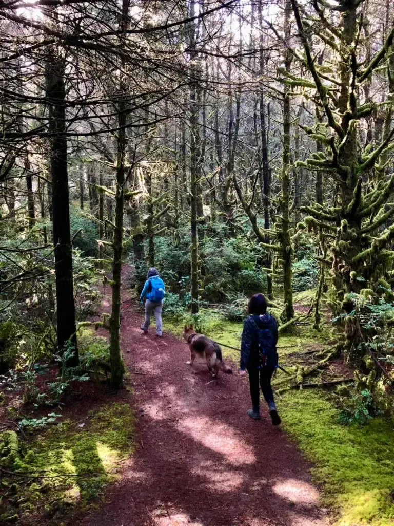 Two women and a German Shepherd dog hiking in the forest.