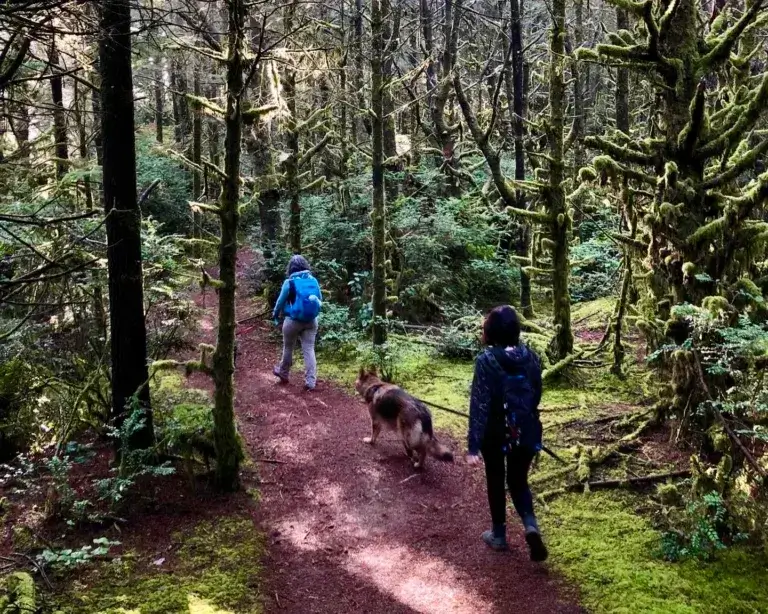 Two women and a German Shepherd dog hiking in the forest.