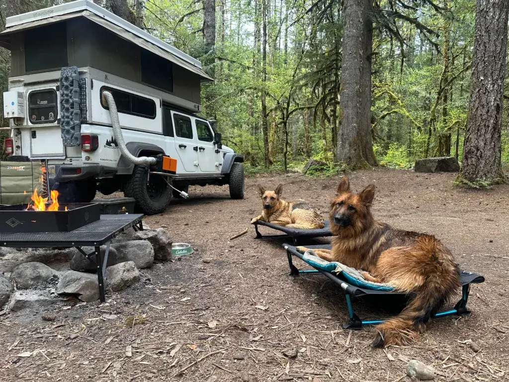 Dispersed camping in the Willamette Forest.