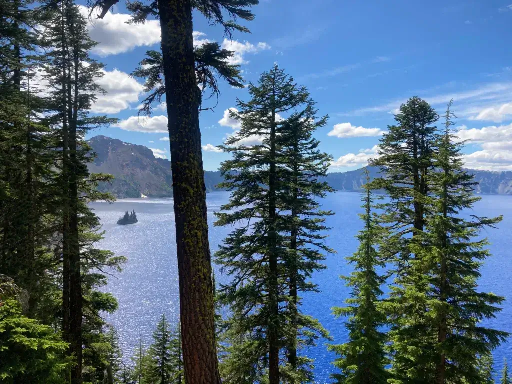 View of Crater Lake thorugh the trees.