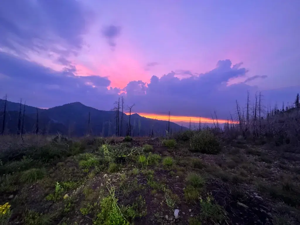Magical sunset in th Umpqua forest.