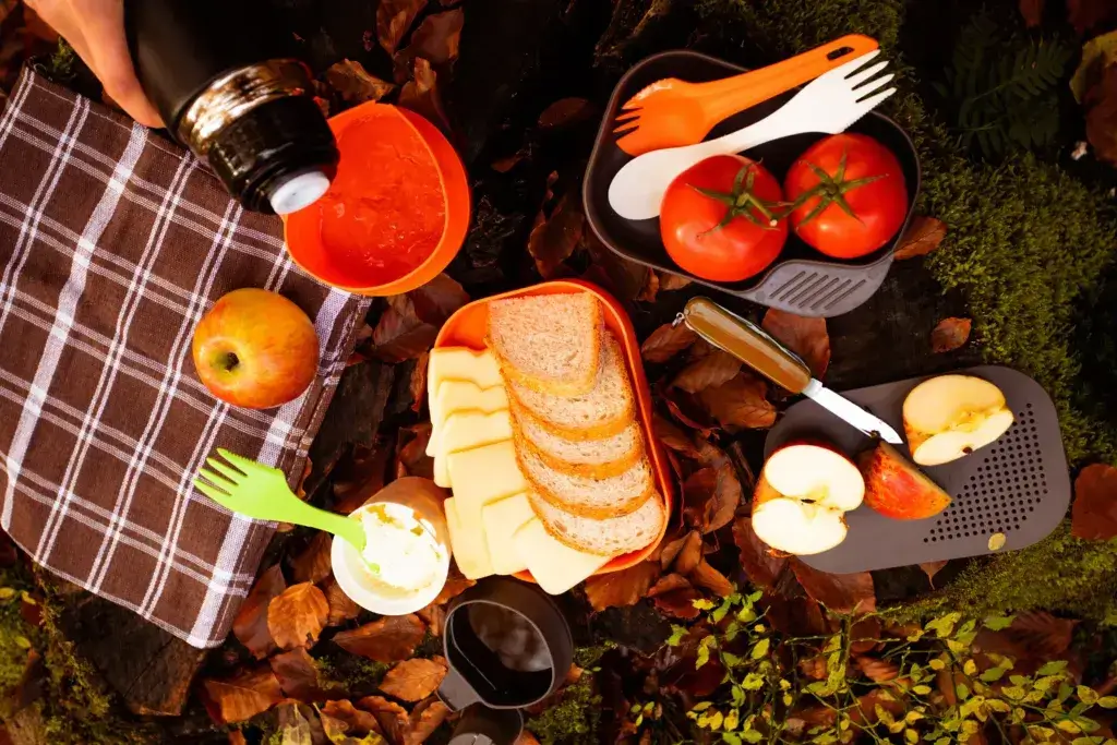 Campsite kit for snacks and drinking tea or coffee. Travel picnic tools, camping explorer equipment. Thermos with hot beverage. Hiking lunch ideas.