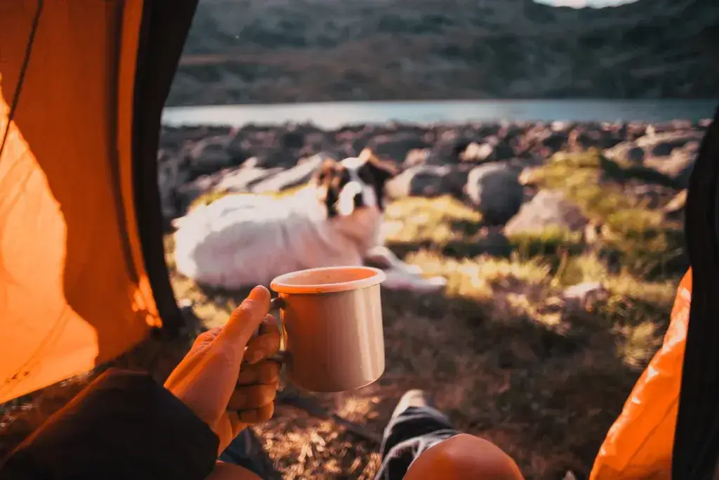 Person holding coffee in a tent with a dog outside.