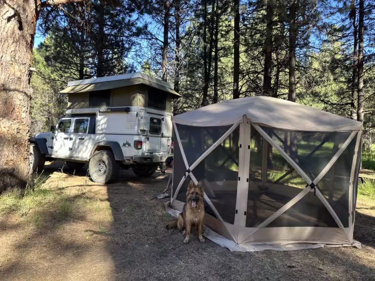 Jeep and Gazelle tent with a dog sitting in front wild camping.