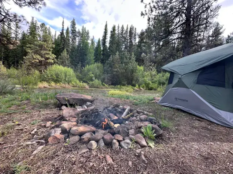 Campfire and gazelle tent in the forest.