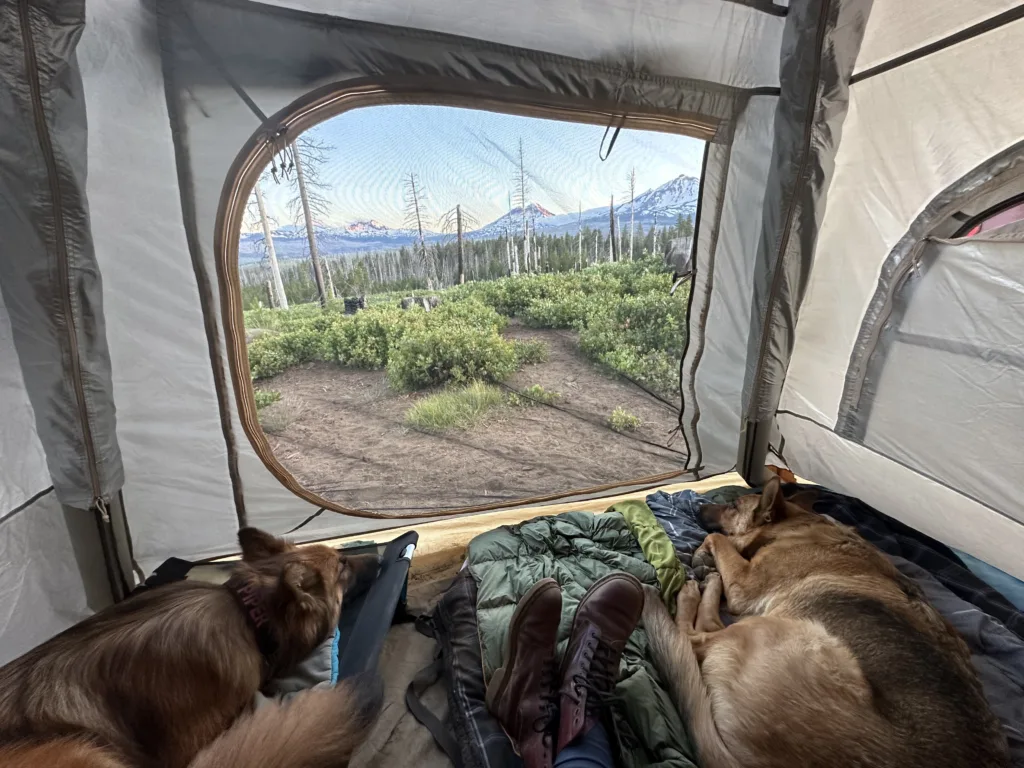 Woman and two dogs solo camping in a tent.