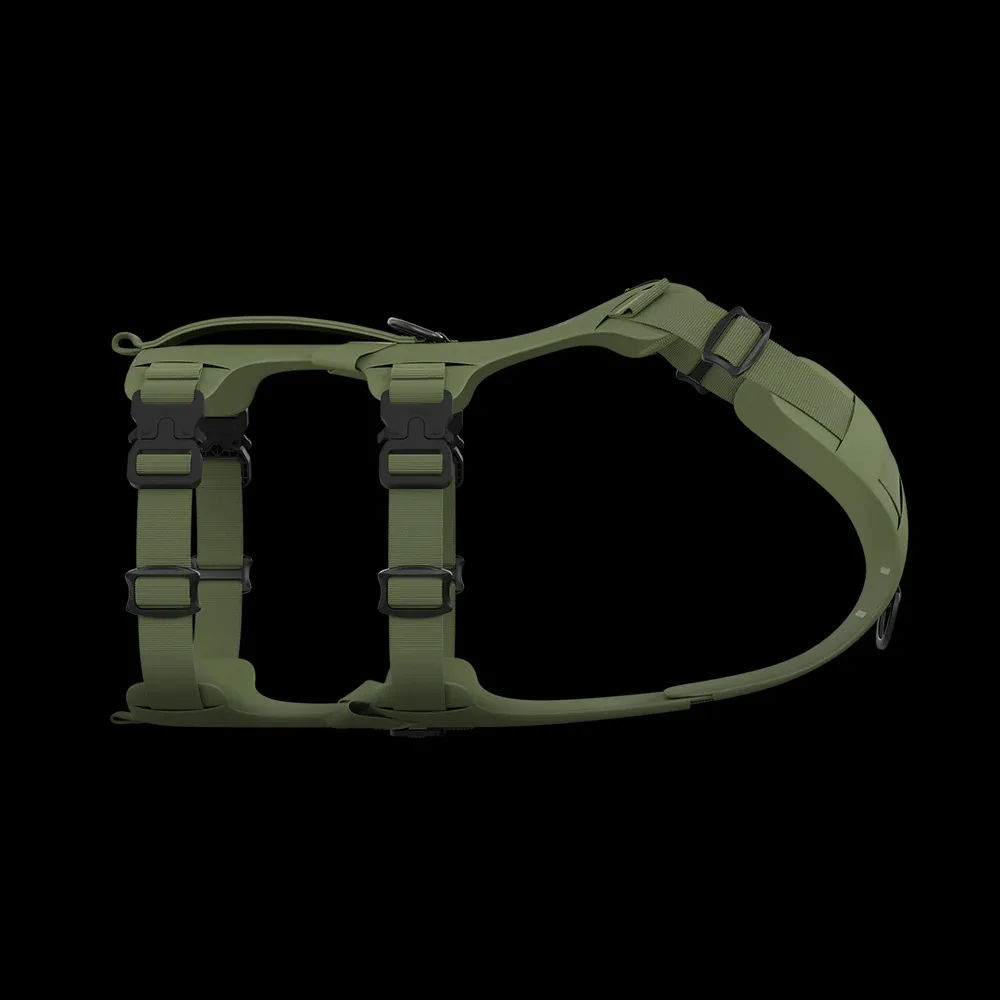 Saker Canine - Muse Harness