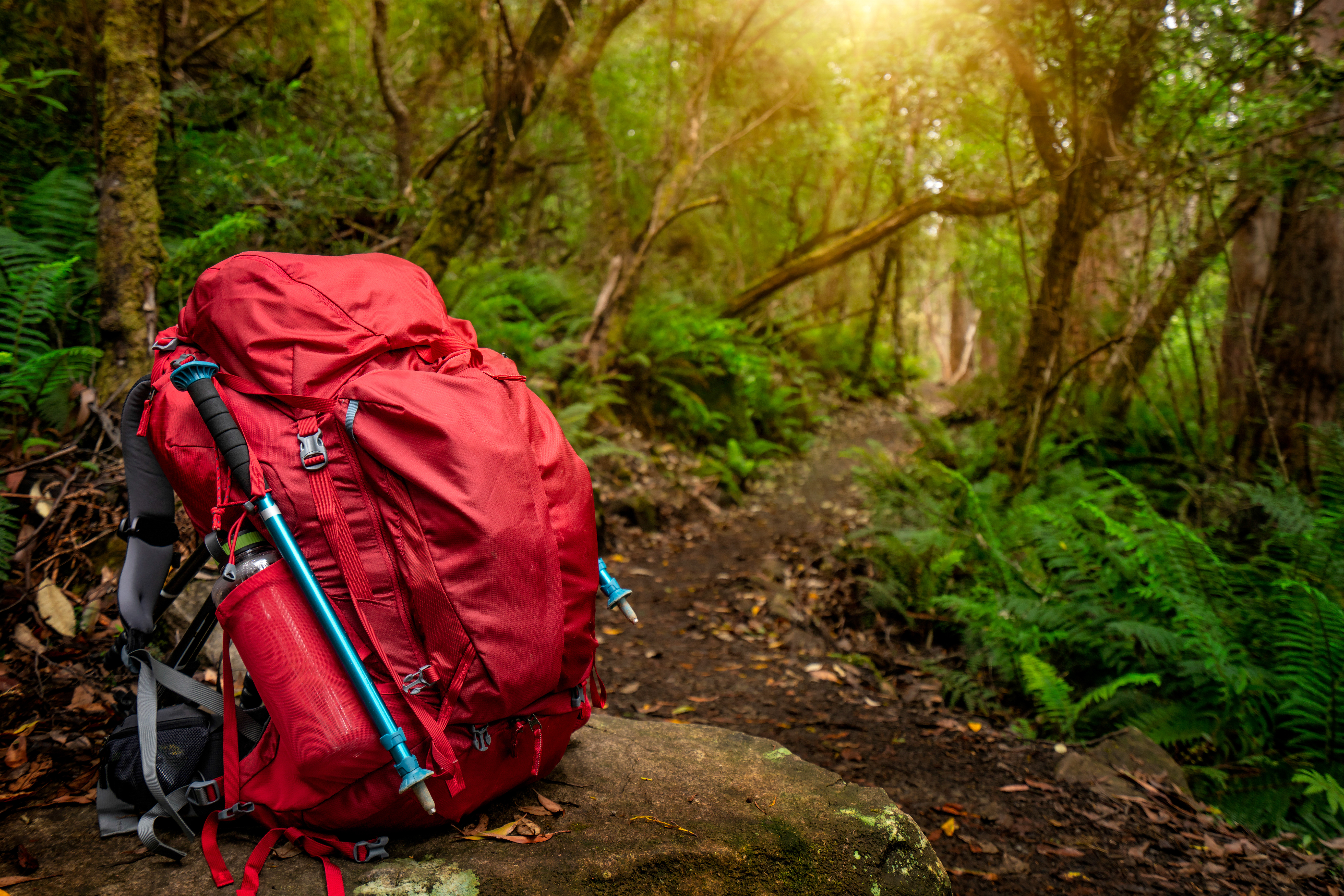 Red backpack and hiking gear set placed on rock in rainforest of Tasmania,