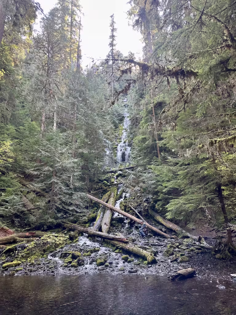 Waterfall surrounded by green foliage in Oregon.
