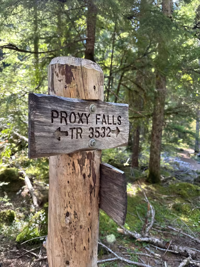 Proxy Falls Tr 3532 signage at start of trail.