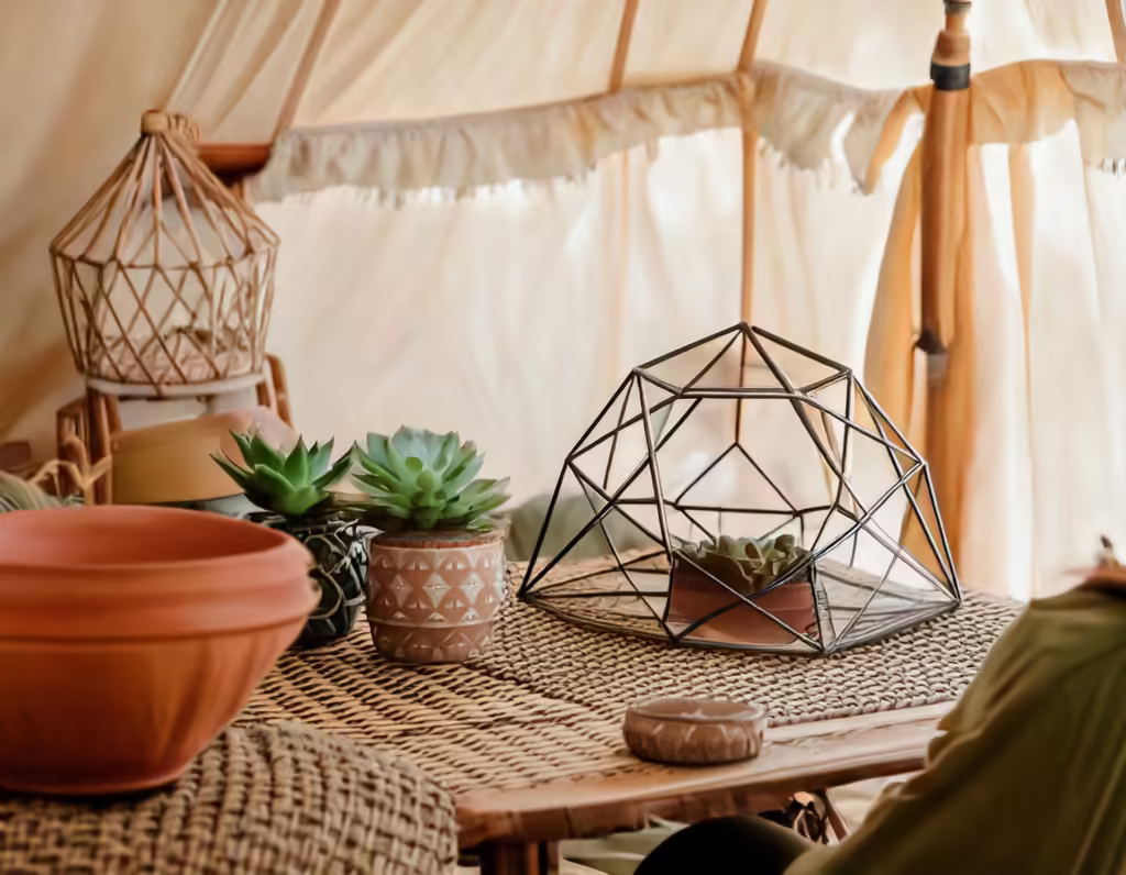 Firefly In the foreground of the image a charming arrangement of small geometric planters takes cen