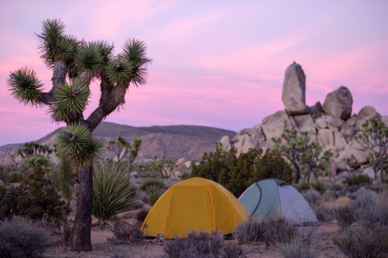 Two tent campers in Joshua Tree National Forest at sunset.