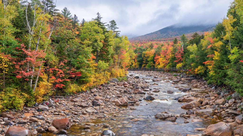 River in autumn wiht colorful leaves at White mountain national forest.