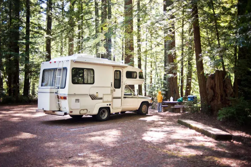 RV parked in a camping spot surrounded by trees with a young boy at a picnic table.