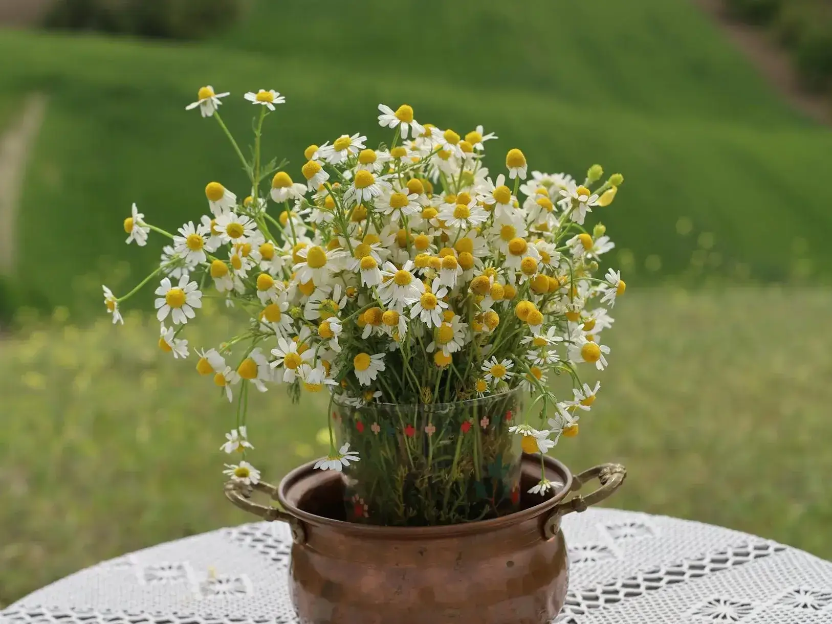 Flowers in a pot sitting on a table outside.