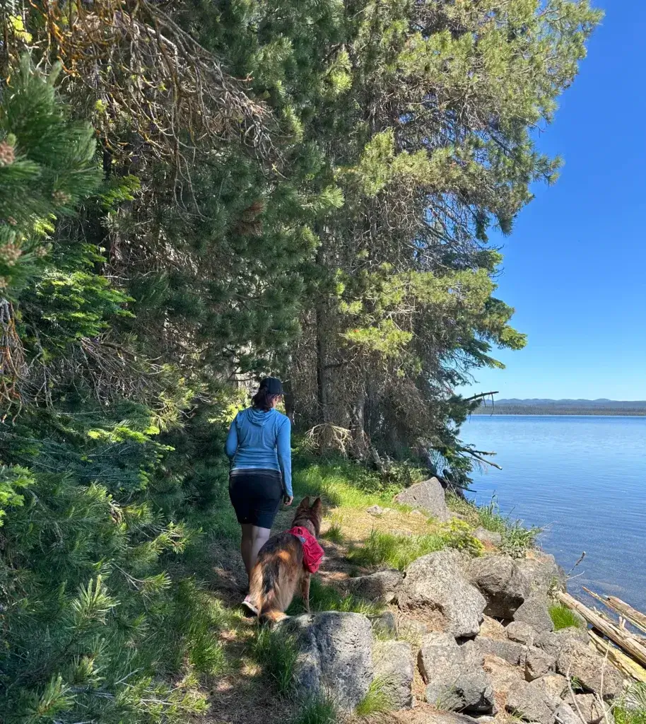 Woman and German Shepherd dog wearing a Ruffwear backpack hiking along a river trail.