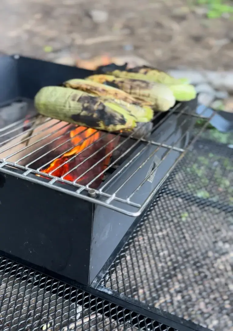 Corn on the cob cooking on a campfire grill.
