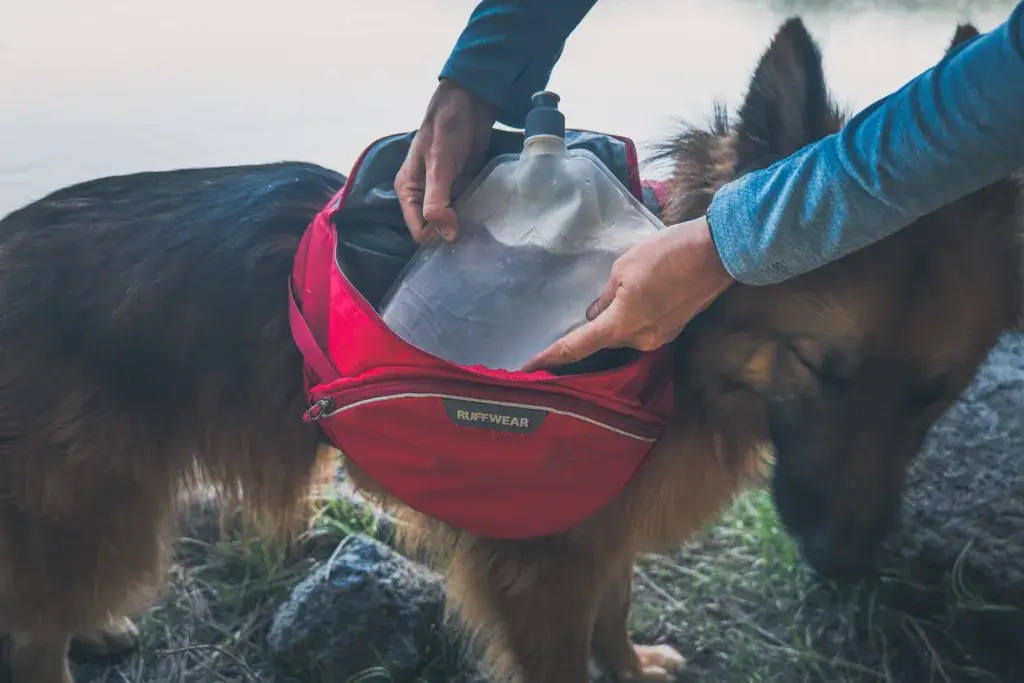 Ruffwear water pouches in a red Palisades backpack.