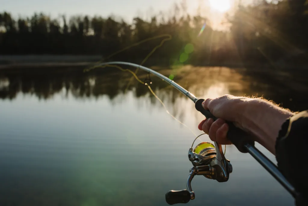 Person holding a fishing pole in a pond at dusk.