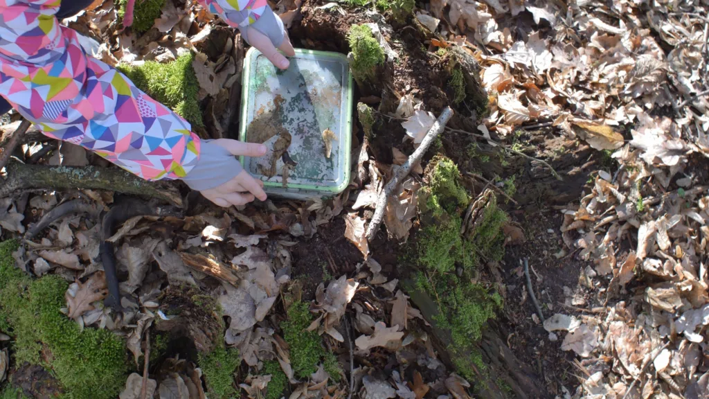 A child looking at a box found while geocaching.