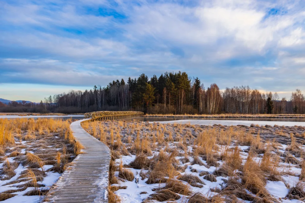 Nature reserve with a wooden walkway.