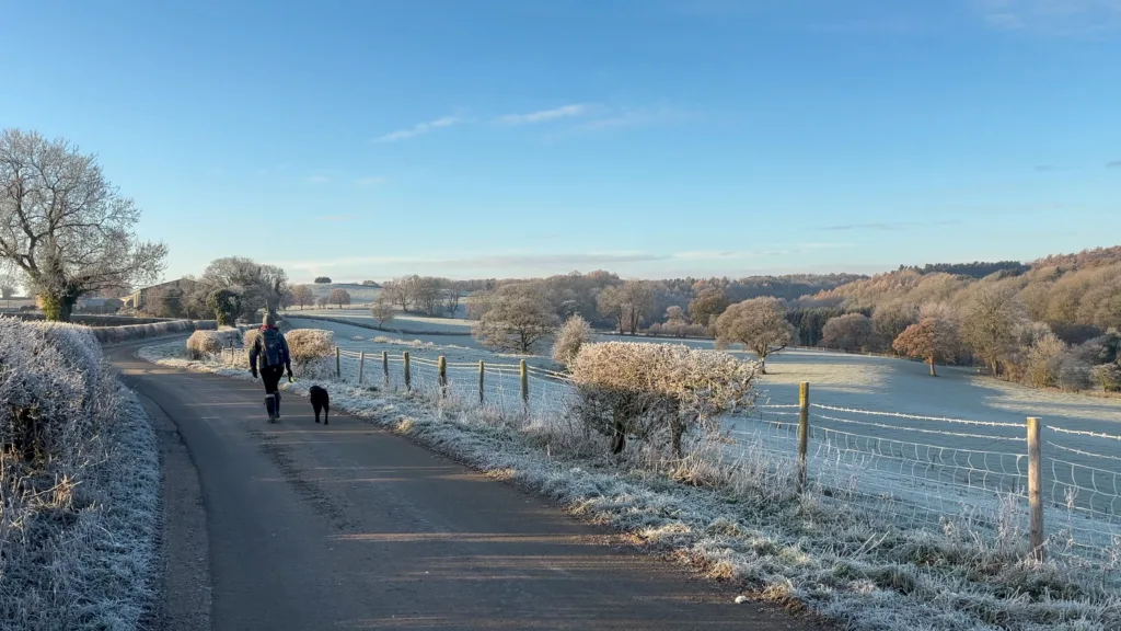 Woman walking a dog down a snowy nature path.