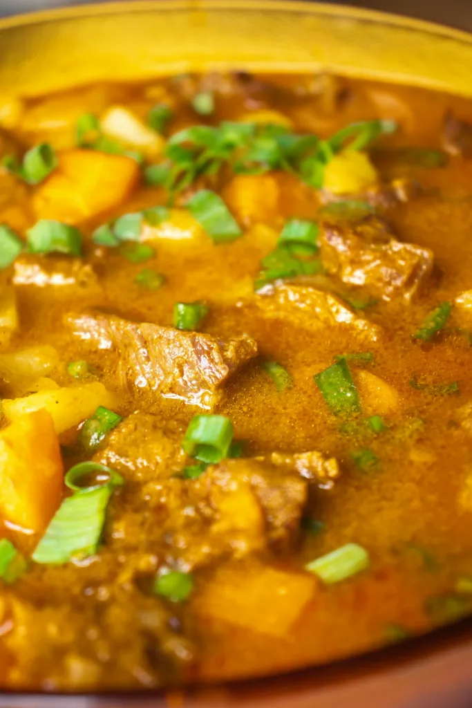 Hearty beef stew with potatoes and green onions, showcasing Brazilian flavors.