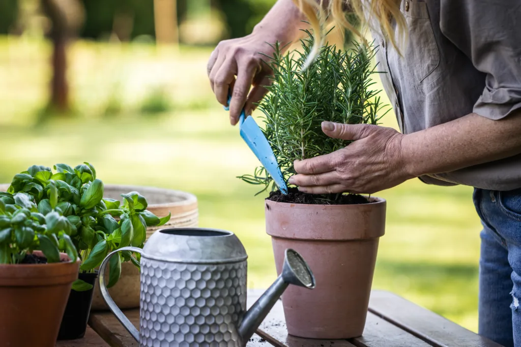 Woman outside tending to a potted plant on a picnic table.