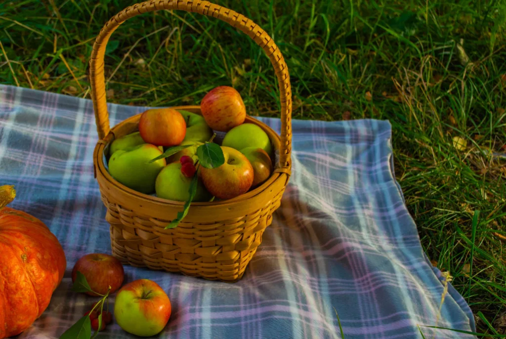 Basket of apples on a plaid blanket with pumpkin in a grassy field, embodying autumn vibes.