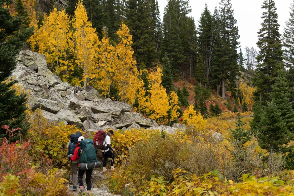 Hikers explore the vibrant autumn landscape of Grand Teton National Park, Wyoming.