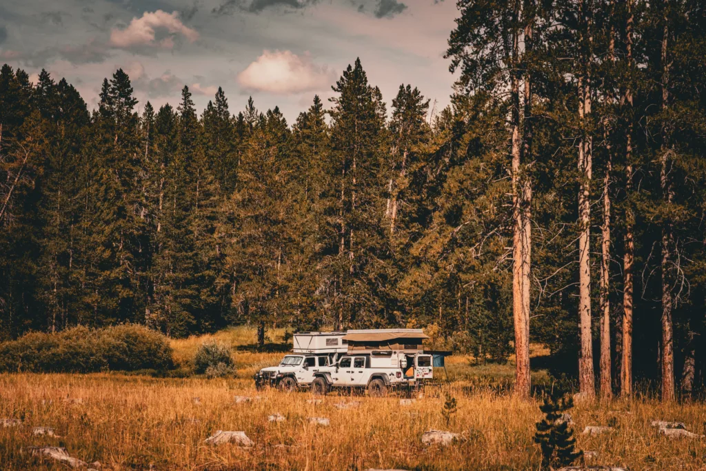 Two Jeep gladiators with campers parked on public land in the forest.