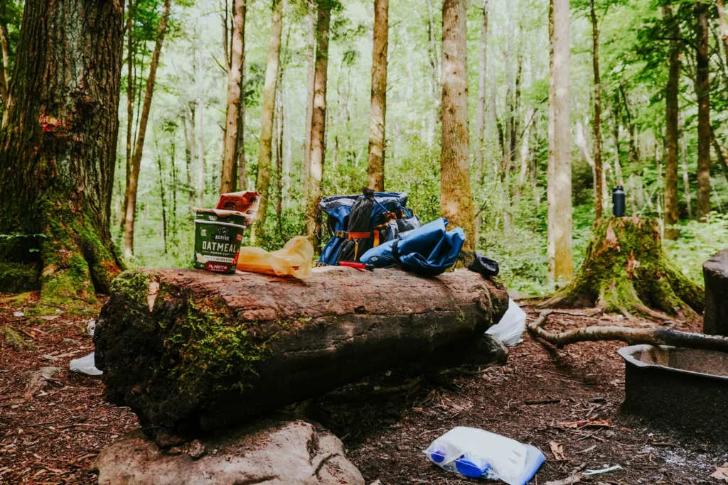 A cozy camping setup in a forest with backpacks and food supplies on a tree log.