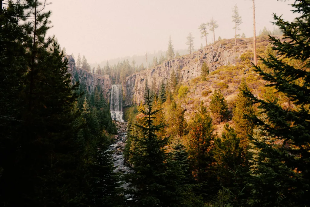 Peaceful waterfall amidst Oregon's lush pine forest at daytime.